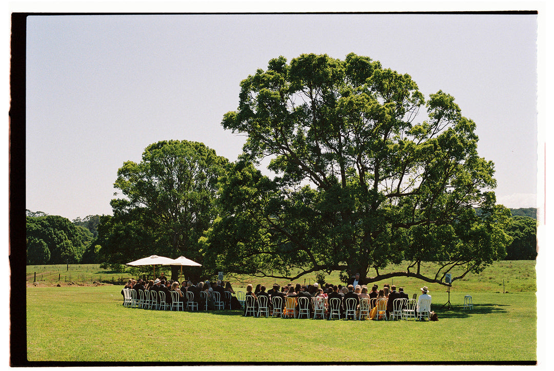 Frida's Field