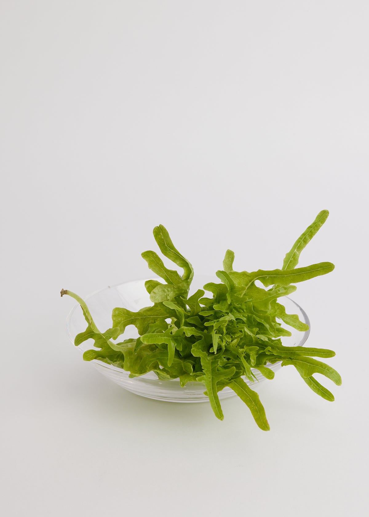 Translucent Bowl - Glass