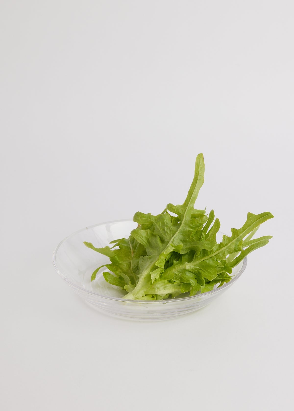 Translucent Bowl - Glass