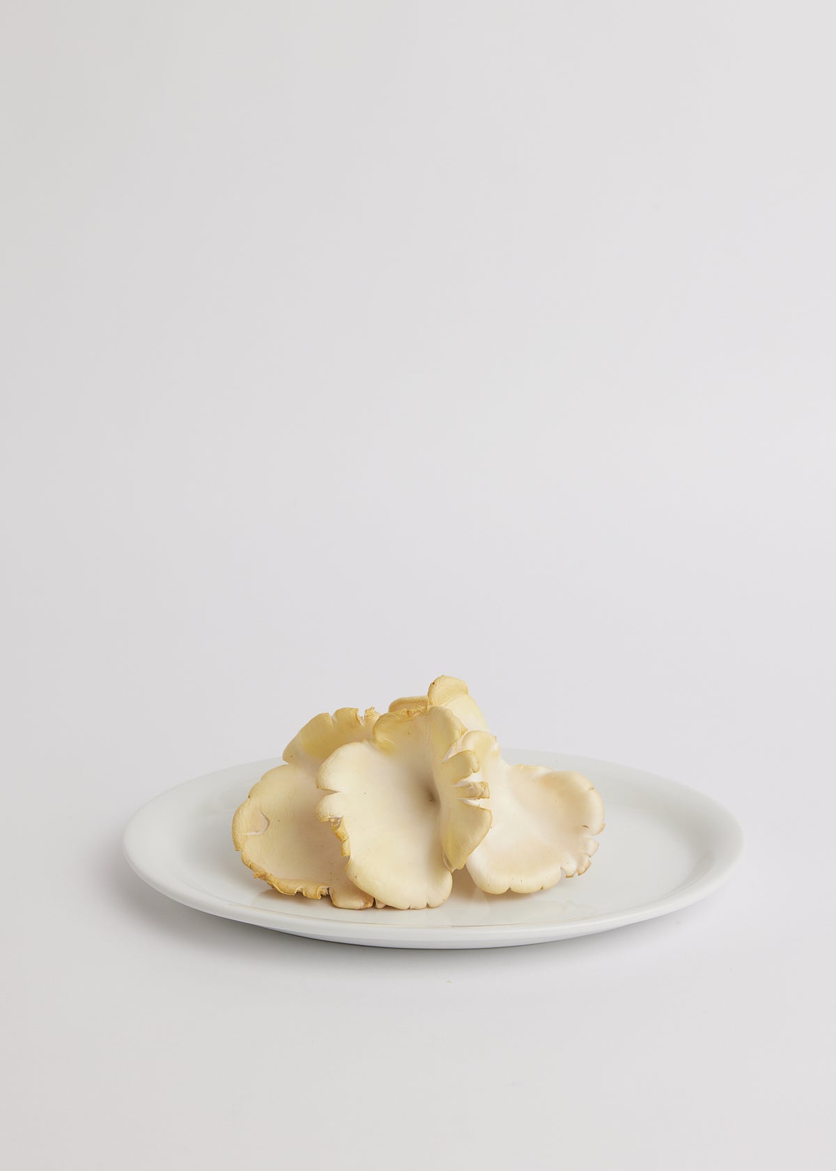 Porcelain Oval Platter - White