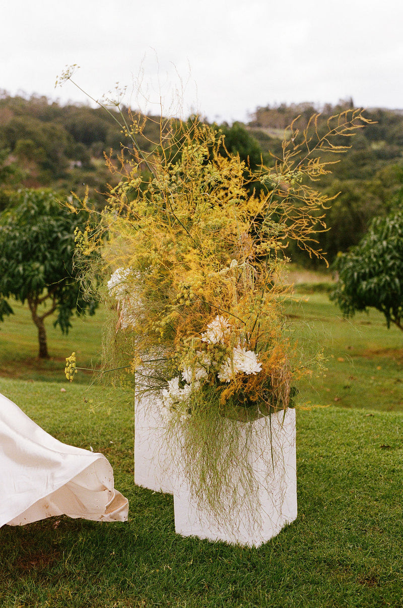 DJINA & JOSH'S WEDDING